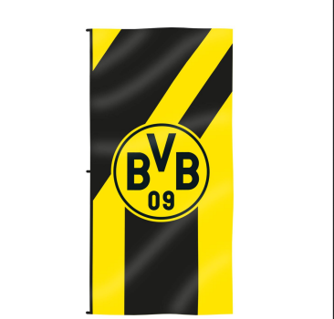 Borussia Dortmund BVB Hissfahne Tempel 100 x 200 cm mit 3 Karabinern